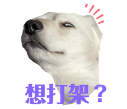 531547687