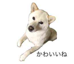 531569660
