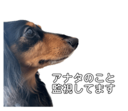 531570129