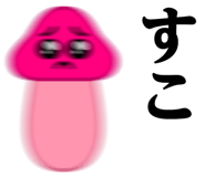 531744300