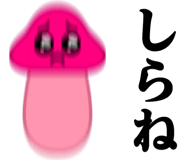 531744314