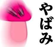 531744323