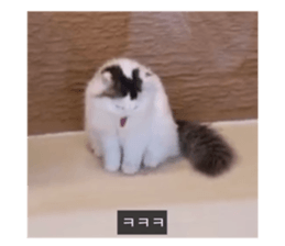 531744715