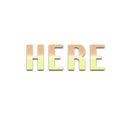 531751305