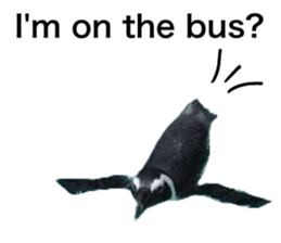 531801416