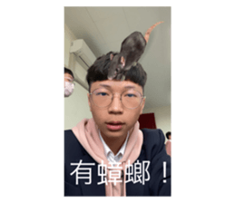 531838962