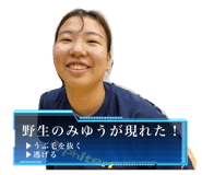 531845779