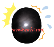 531987400