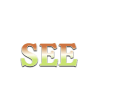 532001361
