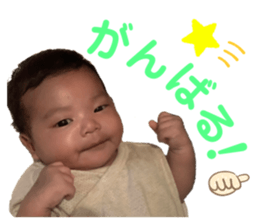 532008095