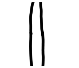 532009135