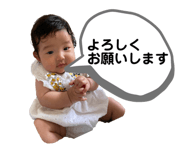 532011304
