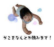 532011306