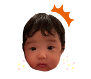532011312