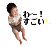 532011313