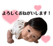 532011314