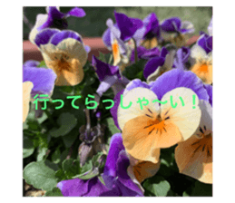 532017289