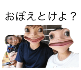 532017394