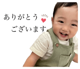 532018455