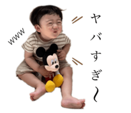 532018481