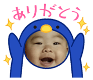 532043207