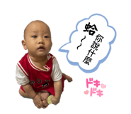 532043620