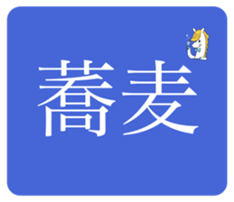 532050595