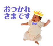 532064813