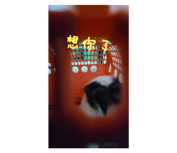 532084219