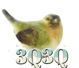 532098812