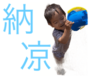 532161209