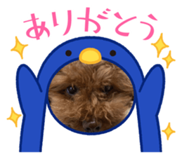 532181023