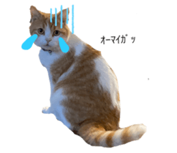 532183178