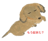 532195355