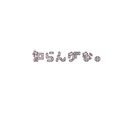 532204559