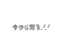 532204575