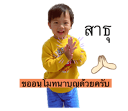 532208641