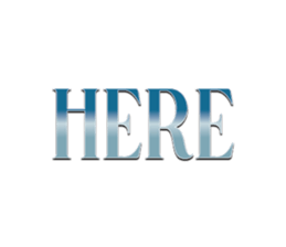 532274041