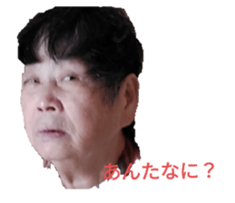 532295912