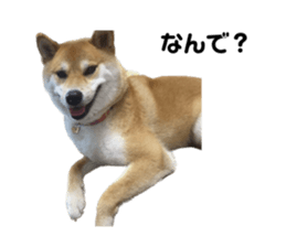 532298207