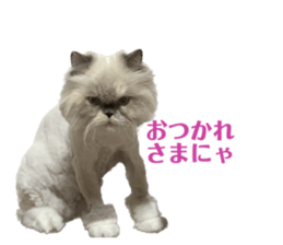 532300951