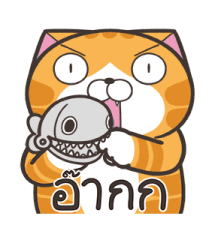 532309612