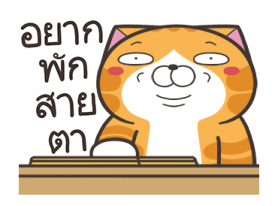 532309613
