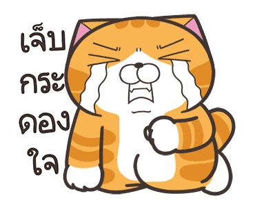 เหมียวซ่า : น่าหยุมหัว รูปที่ 14