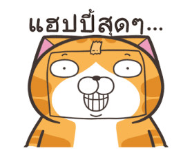 532309620