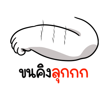 หน้าเกรียนเด๋อด๋า มีเสียง รูปที่ 18