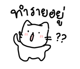 just meow รูปที่ 3