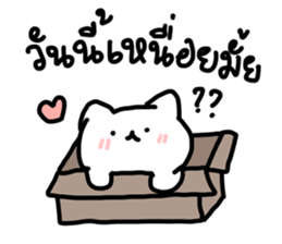 just meow รูปที่ 9