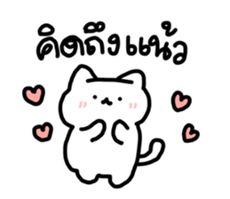 just meow รูปที่ 26