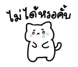 just meow รูปที่ 33